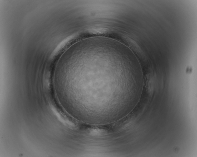 X0000113250400200909171630