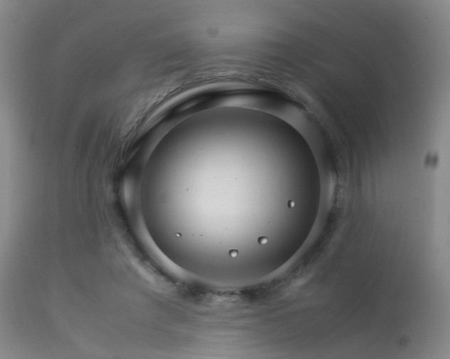 X0000113250401200909171630