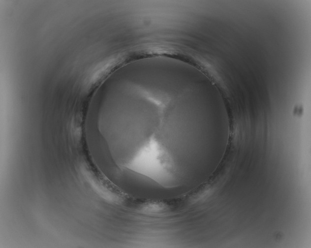 X0000113250402200909171630