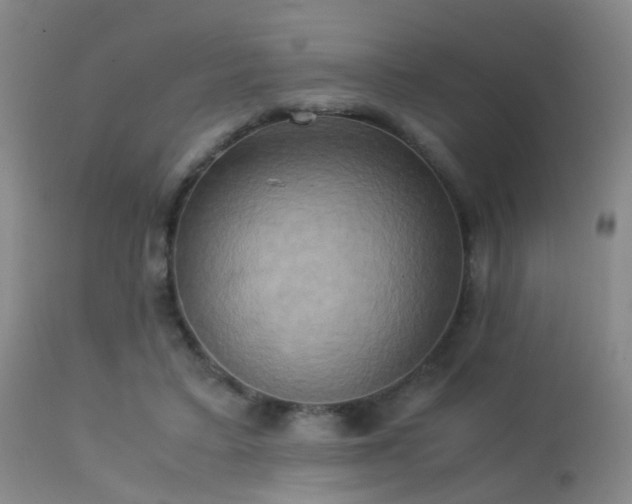 X0000113250403200909171630