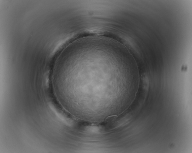 X0000113250404200909171630