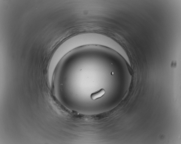 X0000113250405200909171630