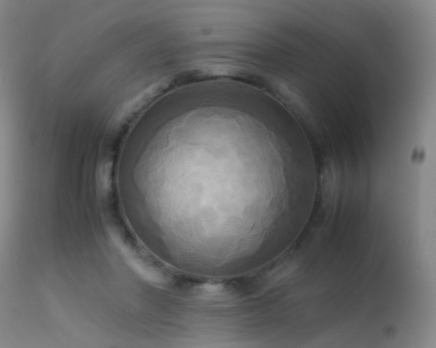 X0000113250406200909171630