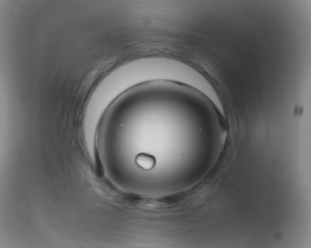 X0000113250407200909171630