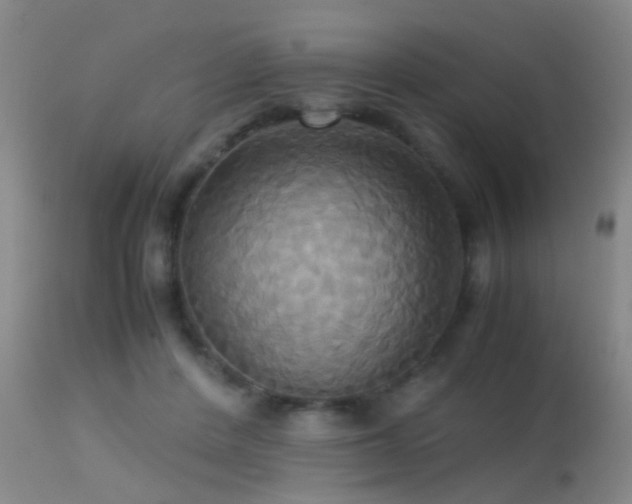 X0000113250408200909171630