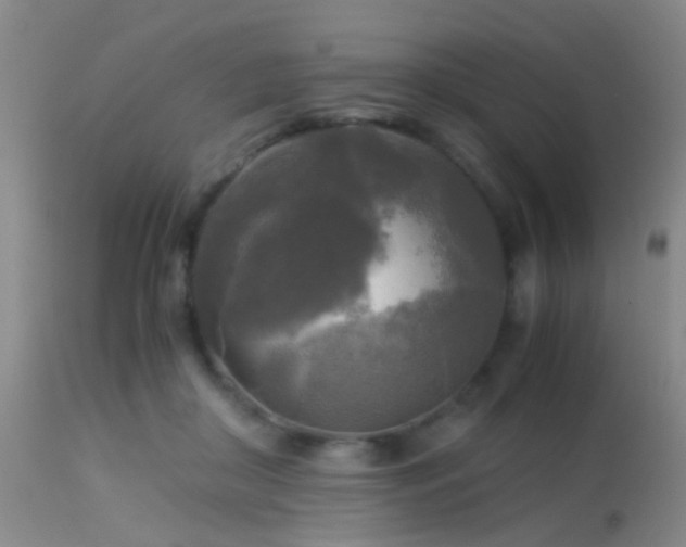 X0000113250410200909171630