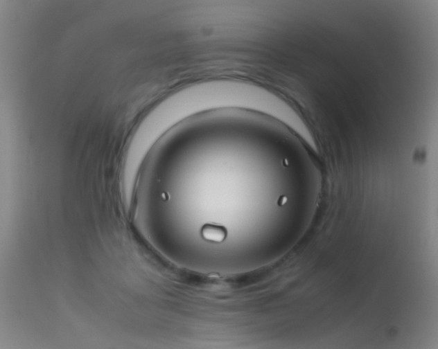 X0000113250411200909171630