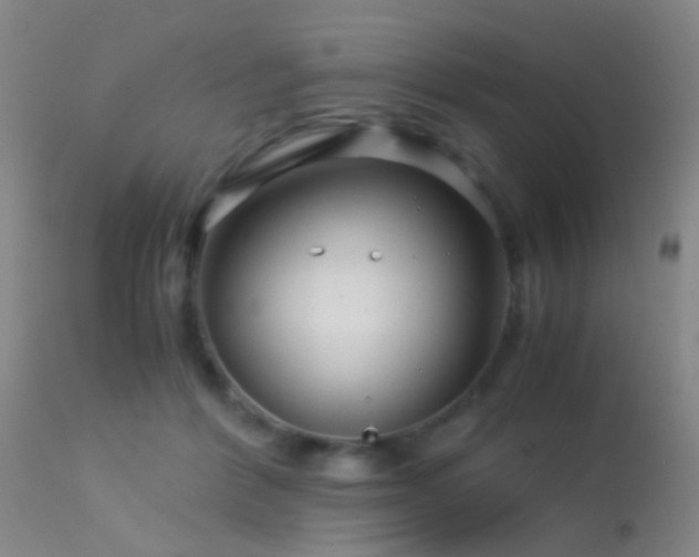 X0000113250412200909171630