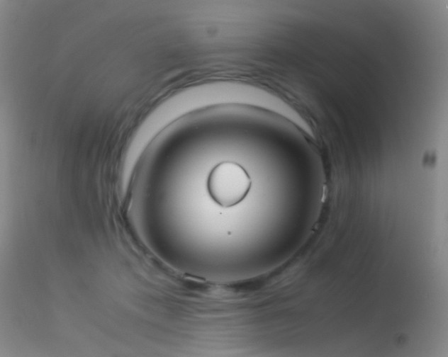 X0000113250413200909171630