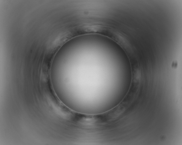 X0000113250414200909171630