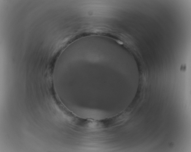 X0000113250415200909171630