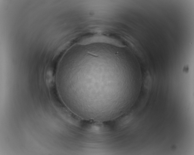 X0000113250420200909171630