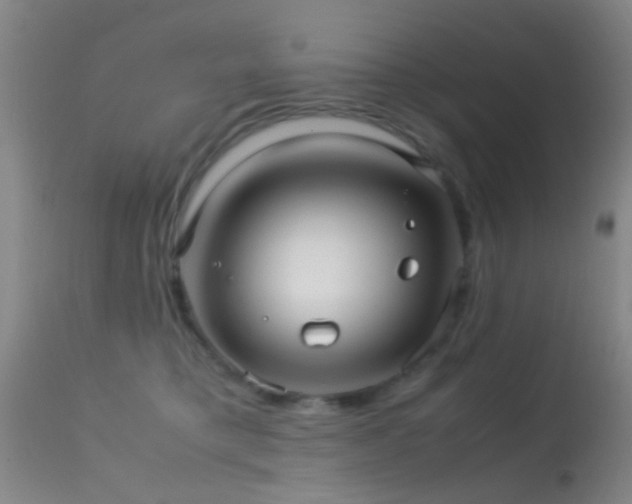 X0000113250421200909171630