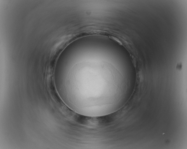 X0000113250423200909171630