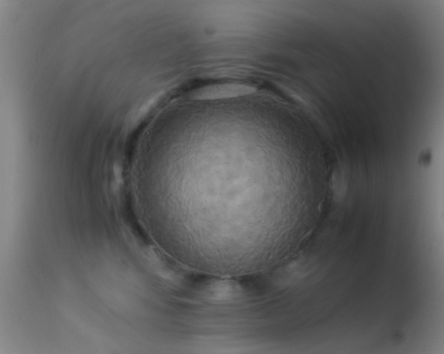 X0000113250424200909171630