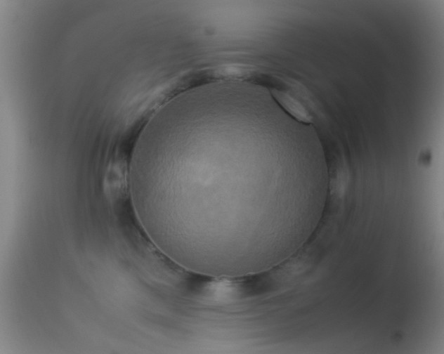 X0000113250425200909171630