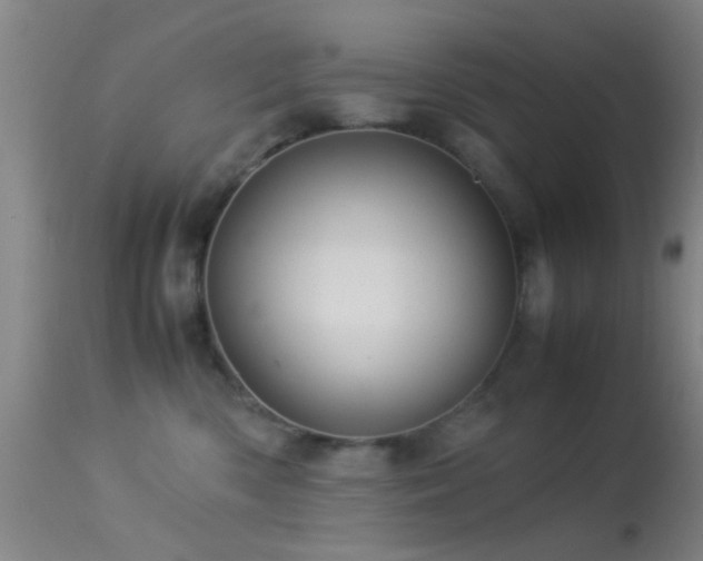 X0000113250426200909171630