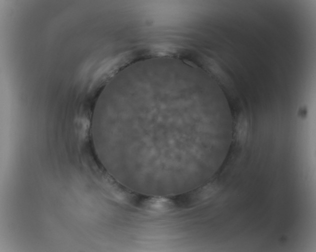 X0000113250427200909171630