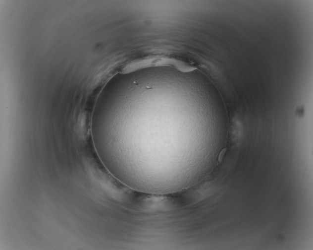 X0000113250428200909171630