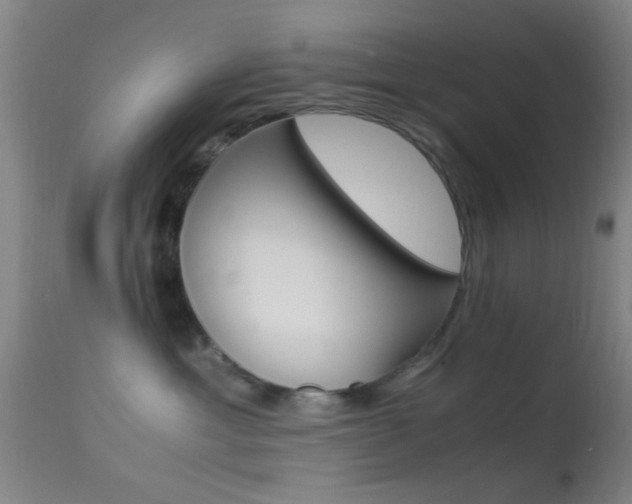 X0000113250429200909171630