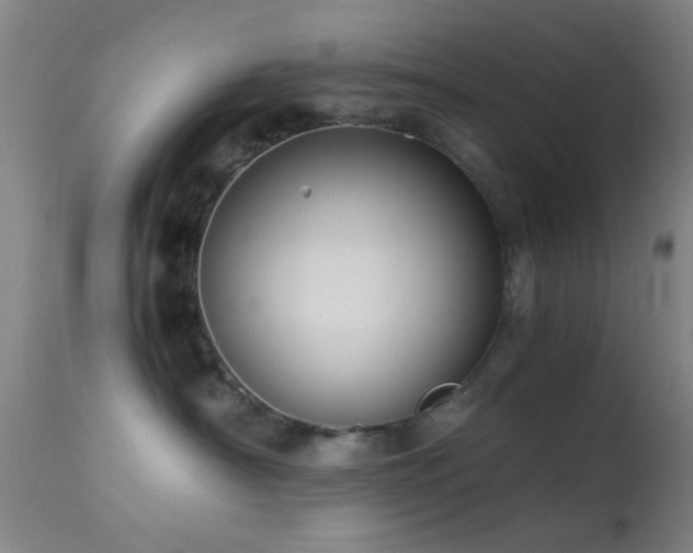 X0000113250430200909171630