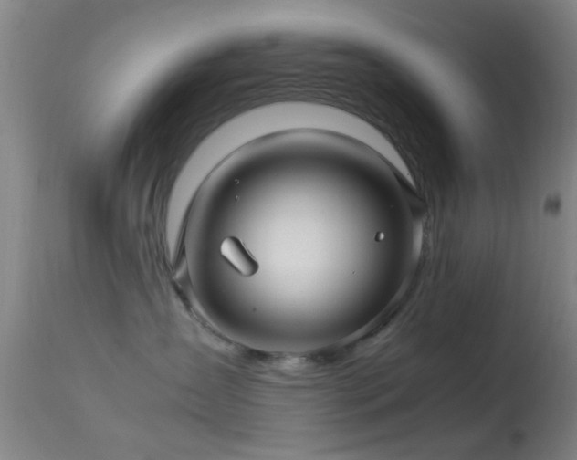 X0000113250431200909171630