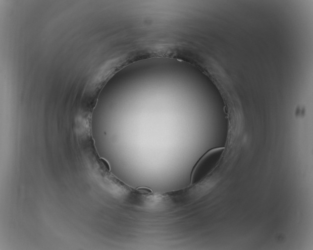 X0000113250432200909171630