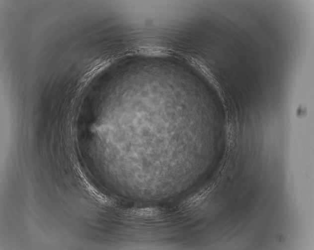 X0000113250433200909171629