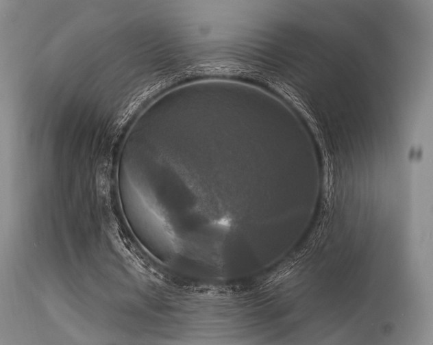 X0000113250434200909171629