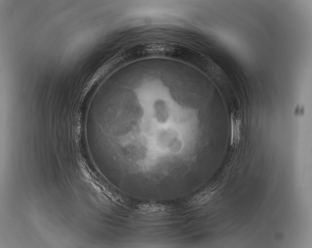 X0000113250435200909171629