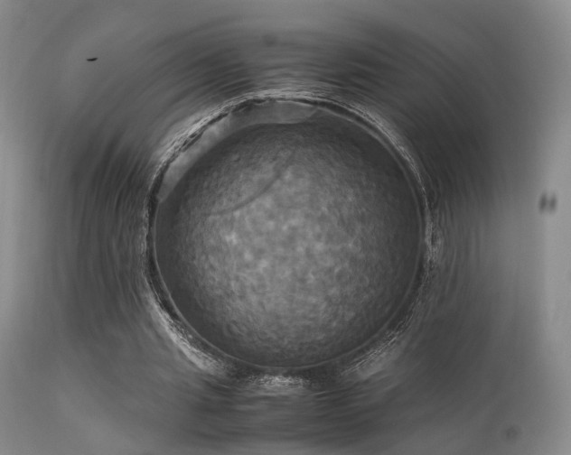 X0000113250437200909171629