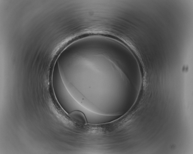 X0000113250438200909171629