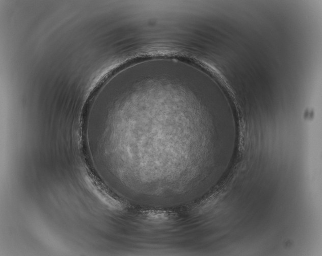 X0000113250439200909171629