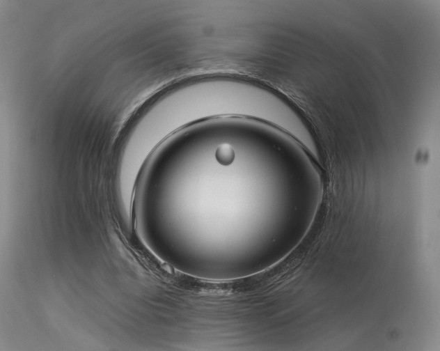 X0000113250440200909171629