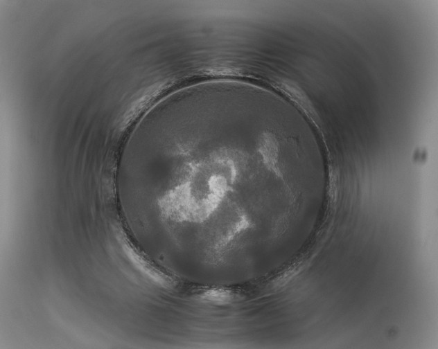 X0000113250441200909171629