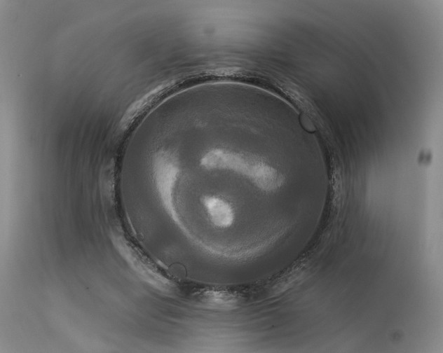 X0000113250442200909171629