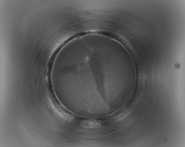 X0000113250443200909171629