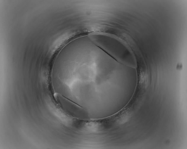 X0000113250444200909171629