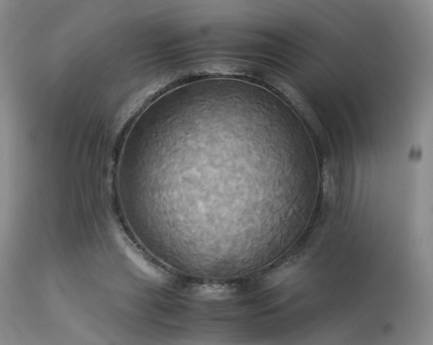 X0000113250445200909171629