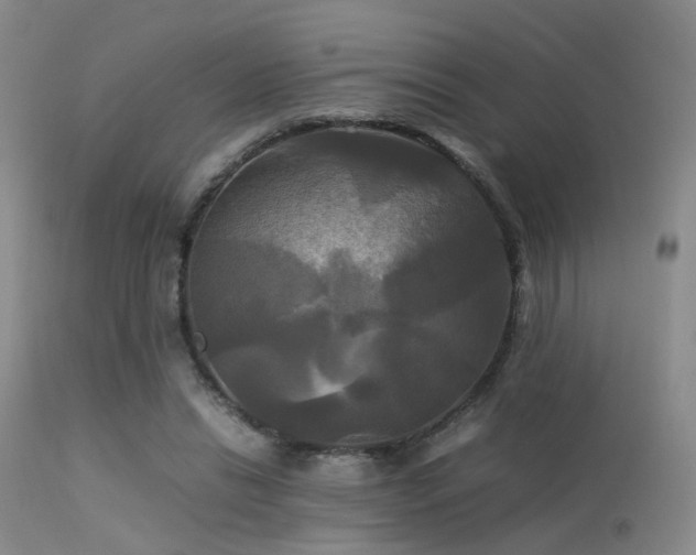 X0000113250446200909171629