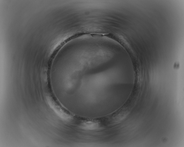 X0000113250447200909171629