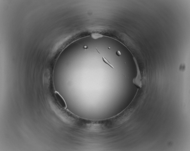 X0000113250448200909171629