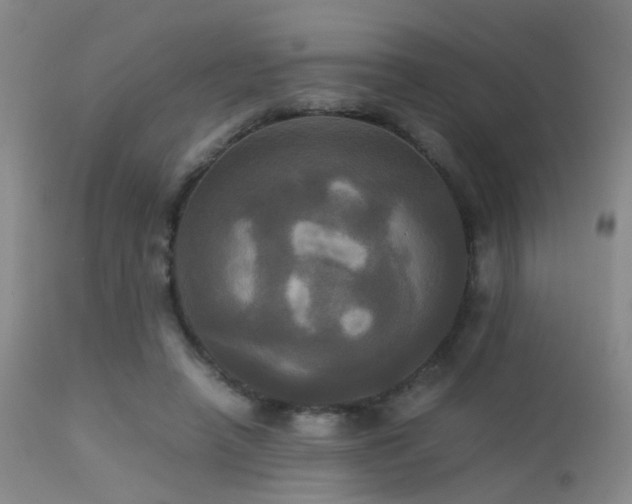 X0000113250450200909171629