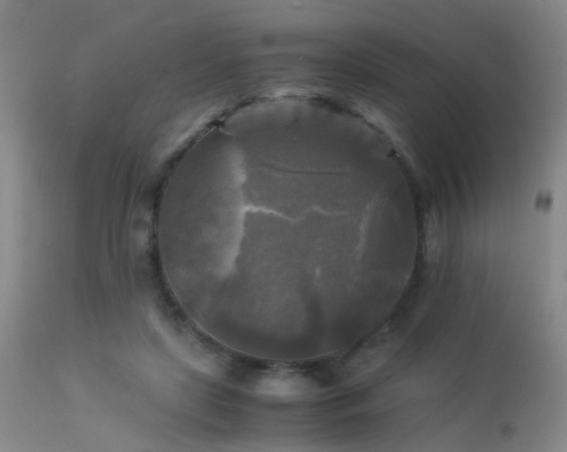 X0000113250451200909171629