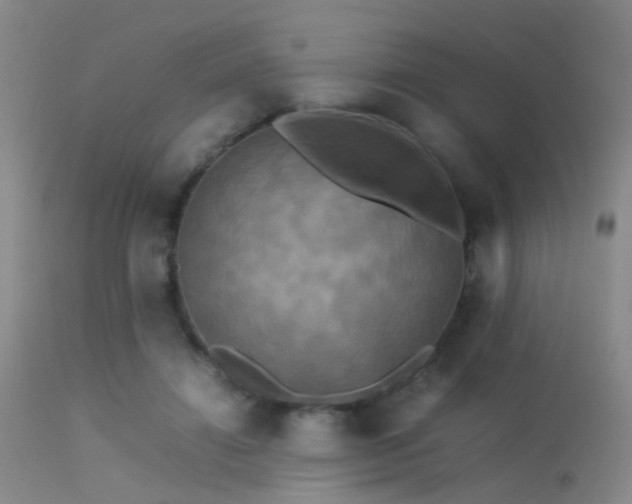 X0000113250452200909171629