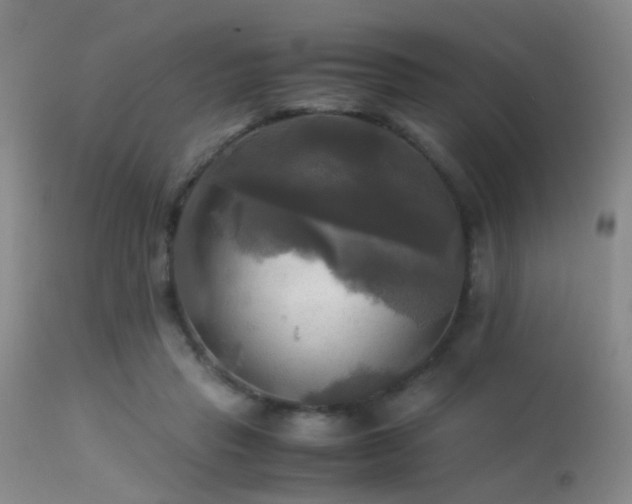 X0000113250453200909171629