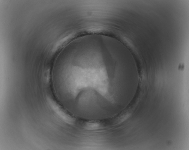 X0000113250454200909171629