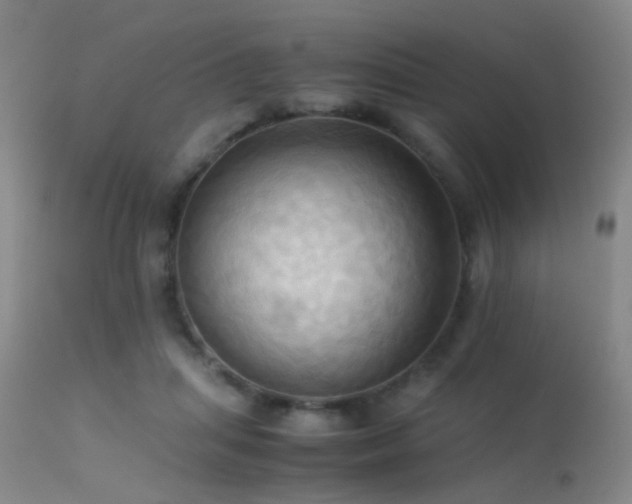 X0000113250455200909171629