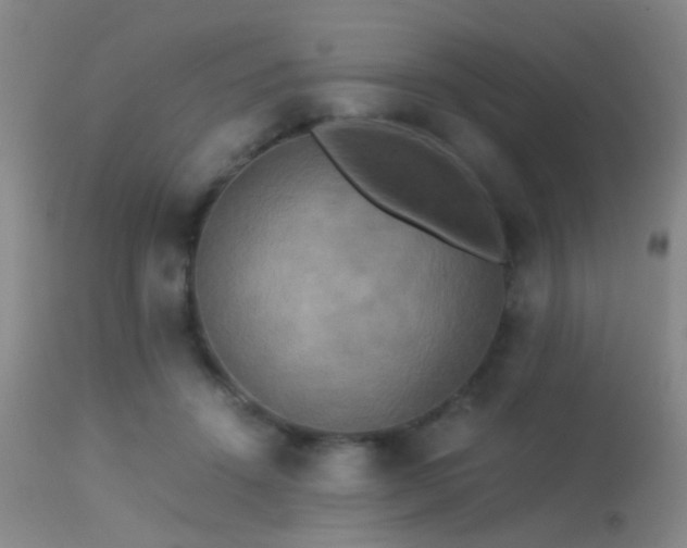 X0000113250456200909171629