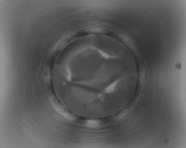 X0000113250457200909171629